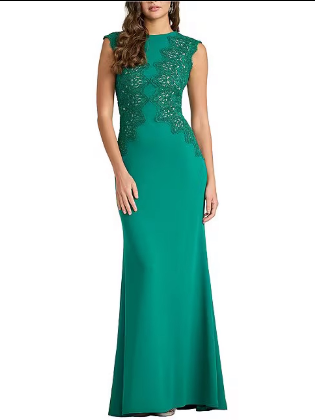 Tadashi Shoji Cap Sleeve Corded Lace Textured Crepe Gown
